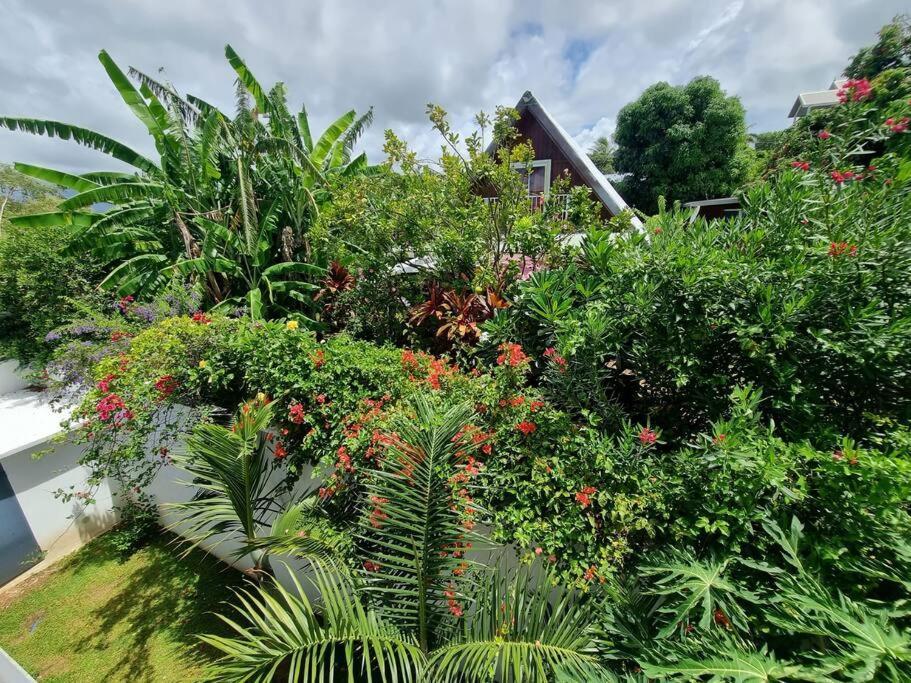 Villa Fleur De Coco - 8P. - Piscine Privee - Haut Standing Сен-П'єр Екстер'єр фото