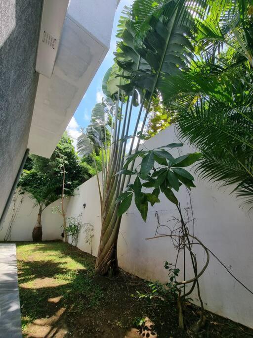 Villa Fleur De Coco - 8P. - Piscine Privee - Haut Standing Сен-П'єр Екстер'єр фото